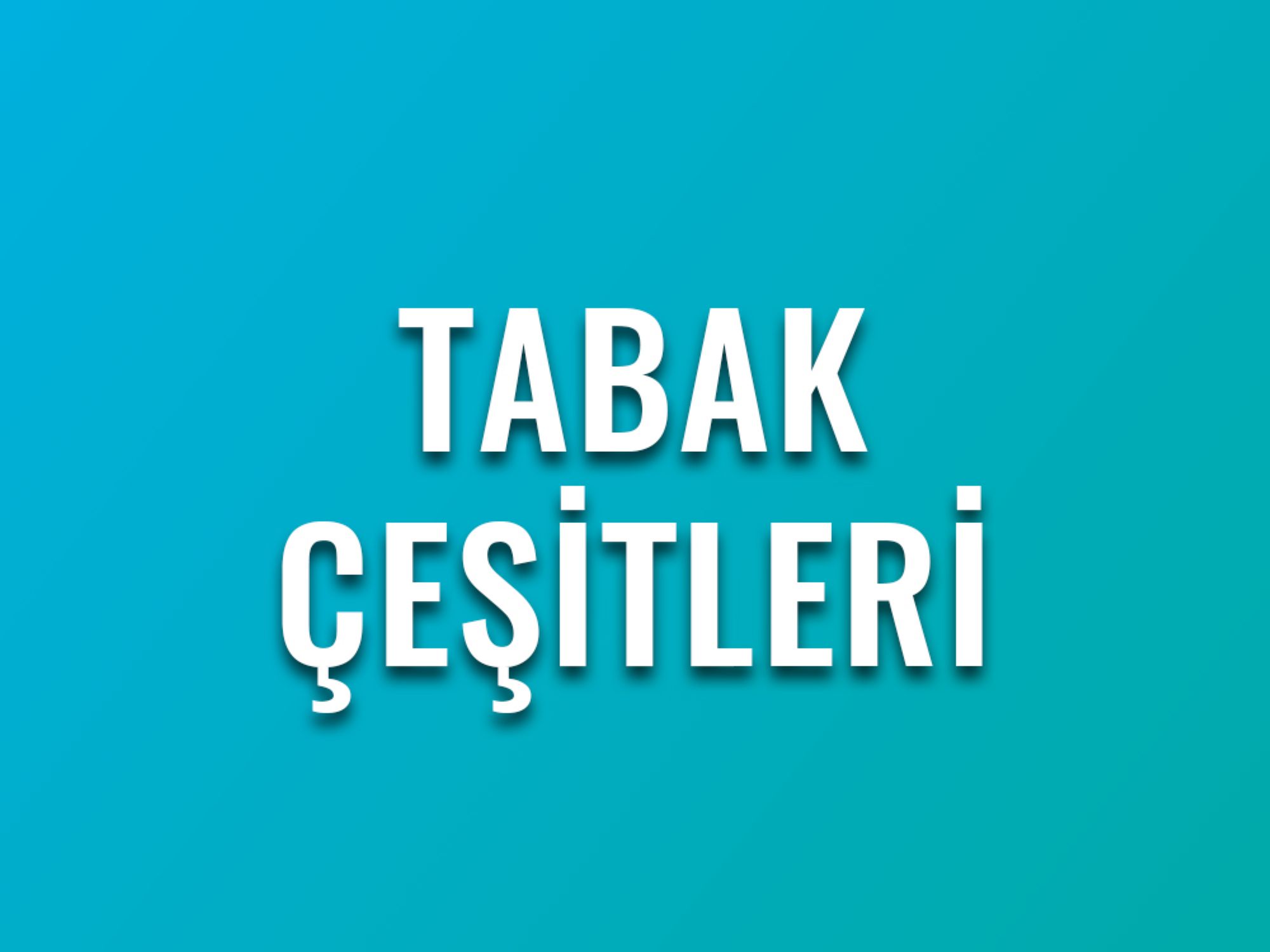 Tabak Çeşitleri